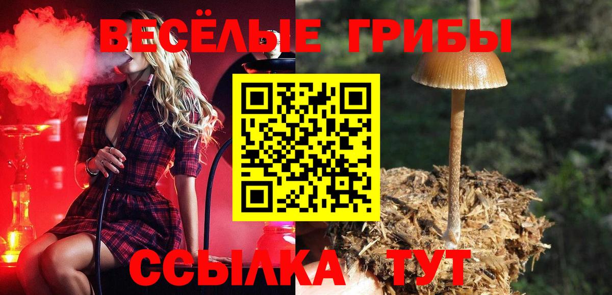 Псилоцибиновые грибы MAGIC MUSHROOMS  Вход с VPN  Ялта 